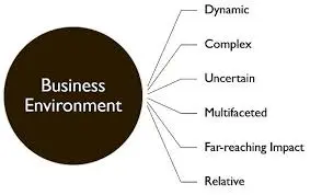 what is business  environment 